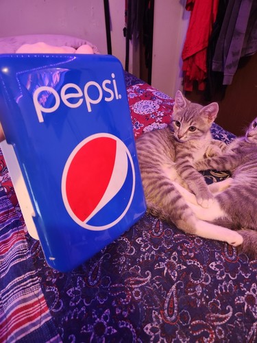 Pepsi cooler - pepsi,